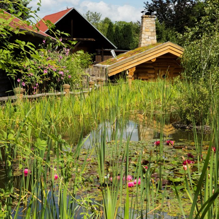 Wellnessgarten mit Seerosenteich und Blockhütte